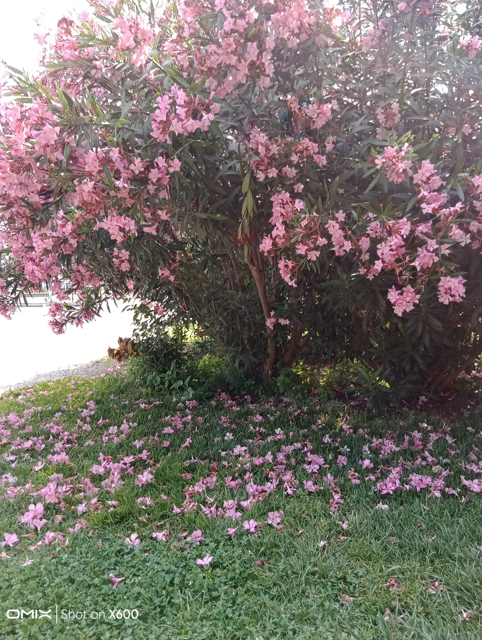 Salon galeri fotoğrafı